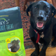 Image for article titled I Fed My Dog Bugs (And You Should, Too)